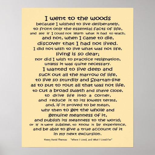 Walden Life in the Woods quote Poster | Zazzle.com