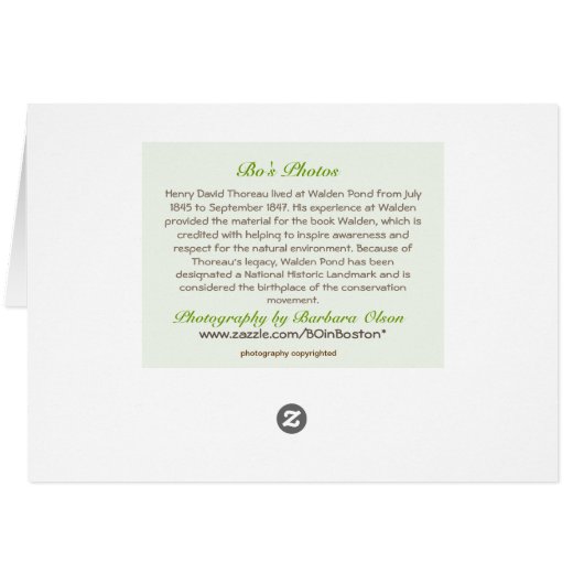 Walden Pond: (Back Horizontal)