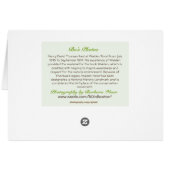 Walden Pond: Cards (Back Horizontal)