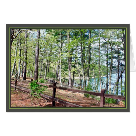 Walden Pond: Cards (Front Horizontal)