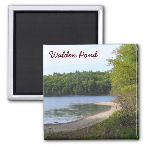 Walden Pond Concord MA Magnet