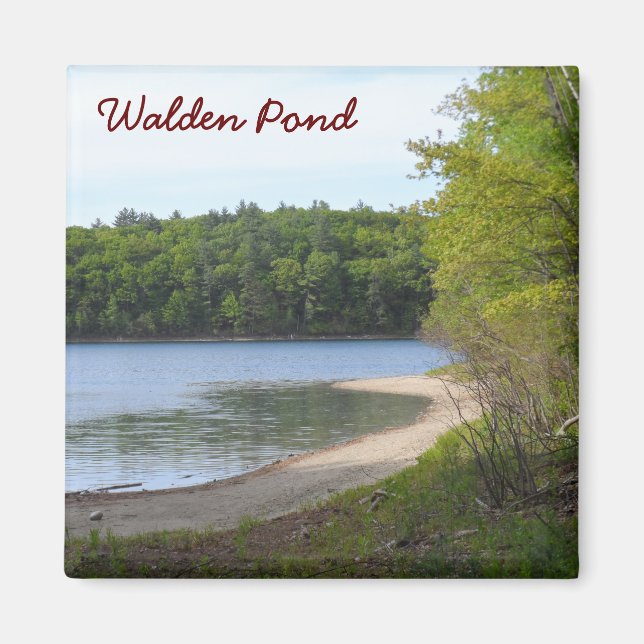 Walden Pond, Concord, MA Magnet (Front)
