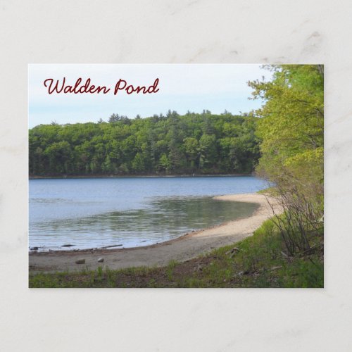 Walden Pond Concord MA Postcard