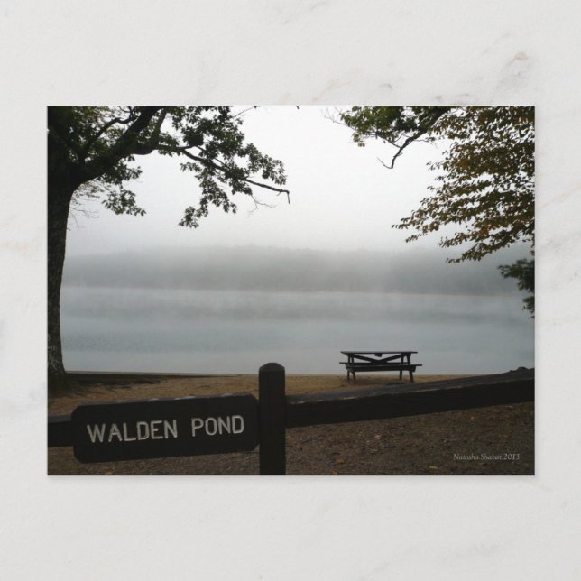 Walden Pond contemplative post card (Front)
