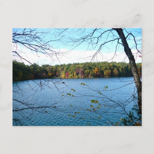 Walden Pond in the Fall Postcard