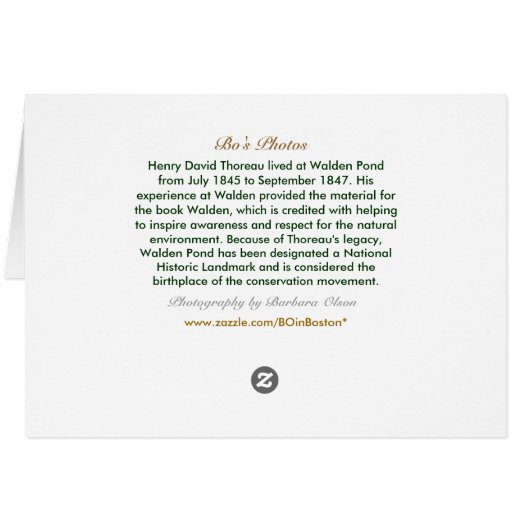 Walden Pond: In Zen (Back Horizontal)