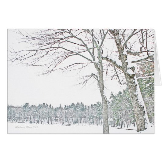 Walden Pond: In Zen Cards (Front Horizontal)