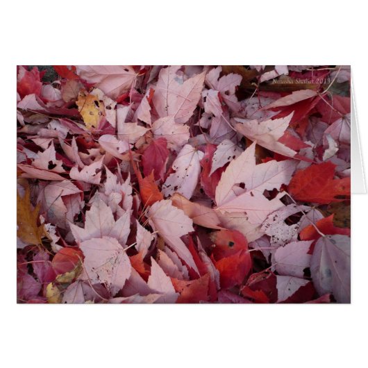 Walden Pond Leaves Cards (Front Horizontal)