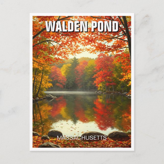 Walden Pond Massachusetts Travel Postcard (Front)