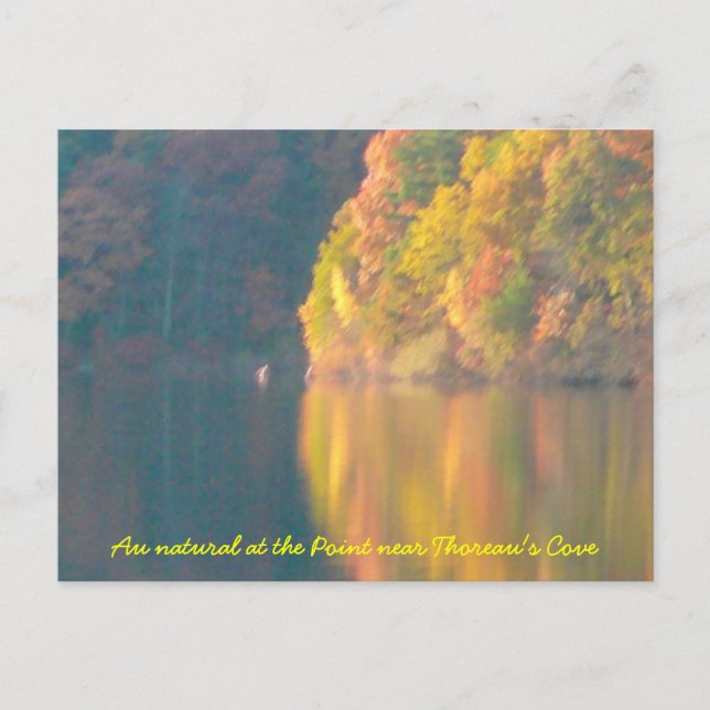 Walden Pond post card (Front)