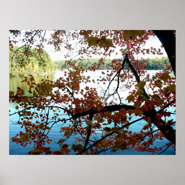 Walden Pond through Autumn Leaves Poster (Front)