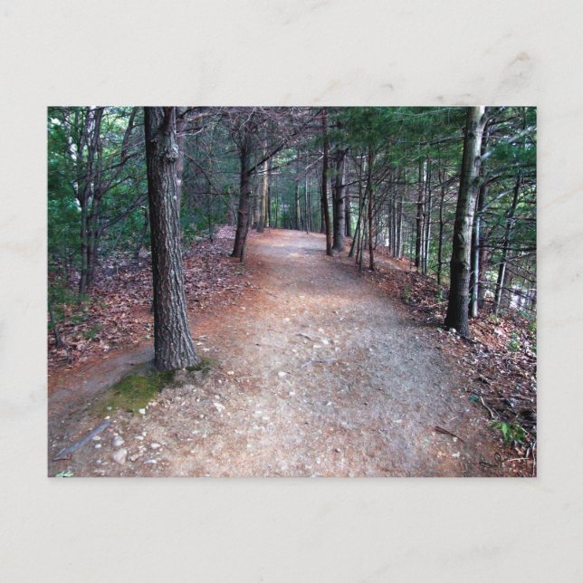 Walden Pond Trail Postcard (Front)