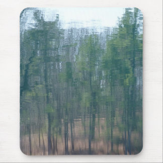Walden Reflection 1 Mouse Pad