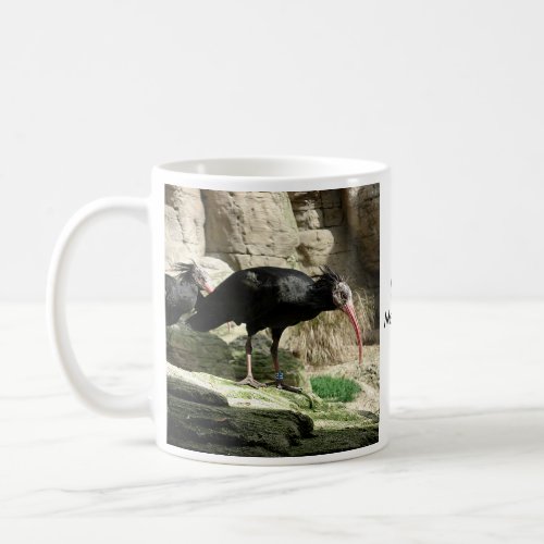 Waldrapp ibis Black Feathered Bird Mug