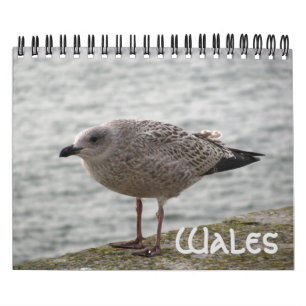 Wales 2022 Calendar