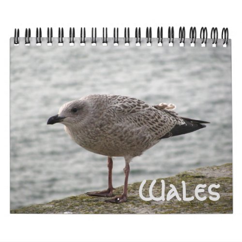 Wales 2022 Calendar
