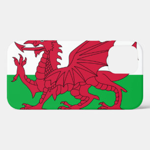Wales iPhone 12 Case