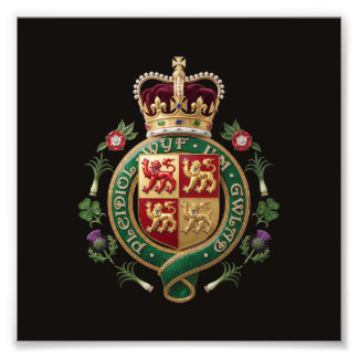 Wales country coat arms symbol emblem flag photo print