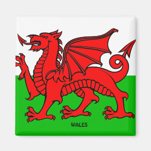 WALES FLAG /DRAGON MAGNET