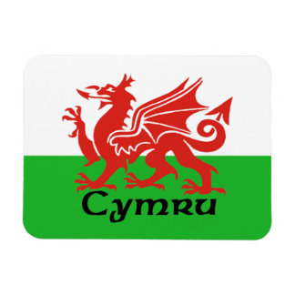 Wales Flag Magnet