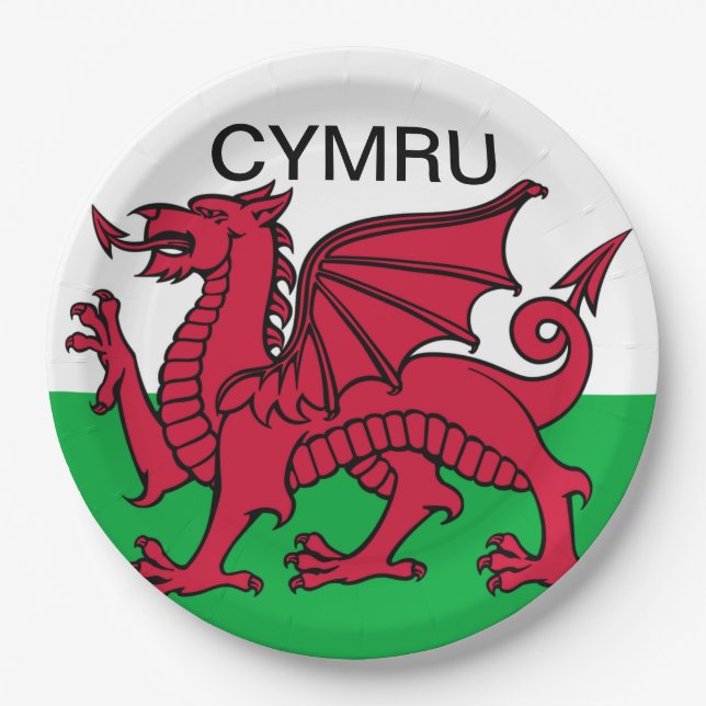 Wales Flag Red dragon Cymru Welsh Party Paper Plates (Front)