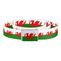  Wales flag Welsh red dragon