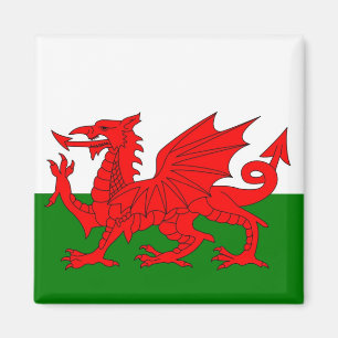  Wales flag Welsh red dragon Magnet