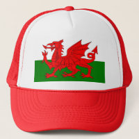  Wales flag Welsh red dragon