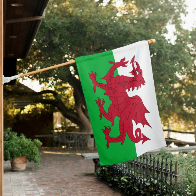 Wales House Flag (In SItu)