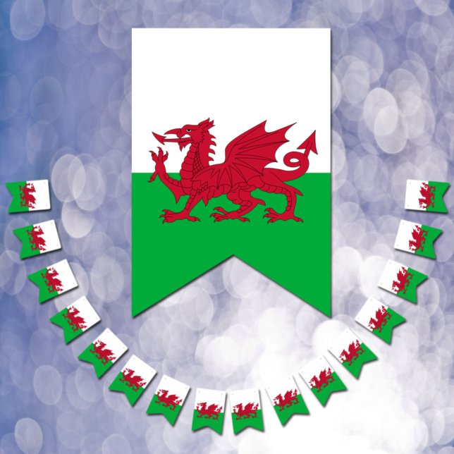 Wales Party Banners, Welsh Flag / Cymru Weddings (Creator Uploaded)