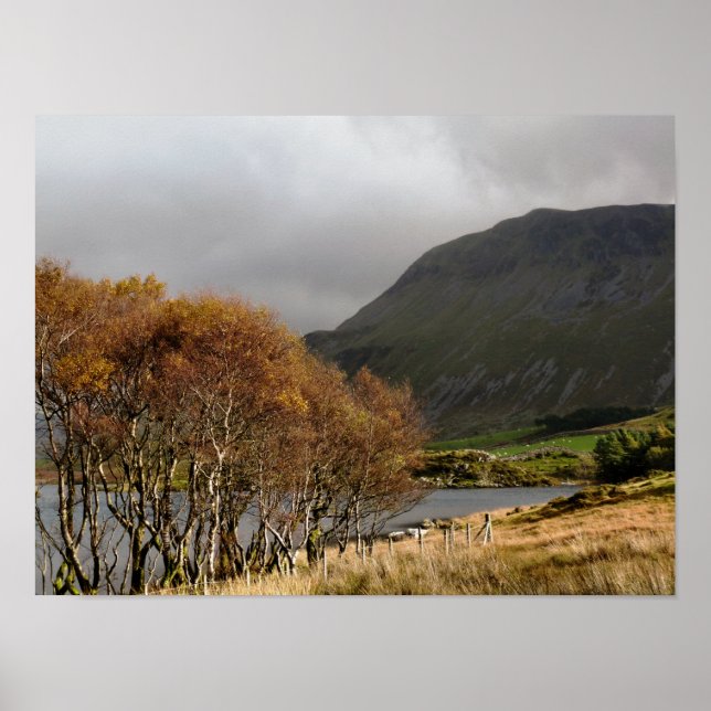 WALES POSTER (Front)