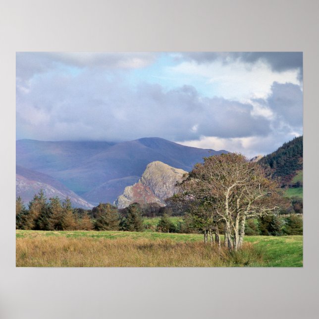 WALES POSTER (Front)