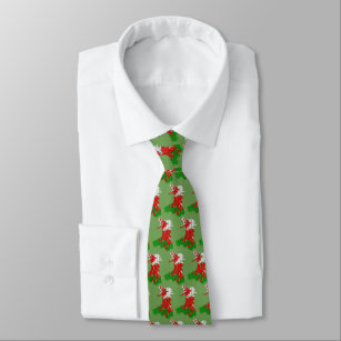 Wales Welsh Rugby Tie