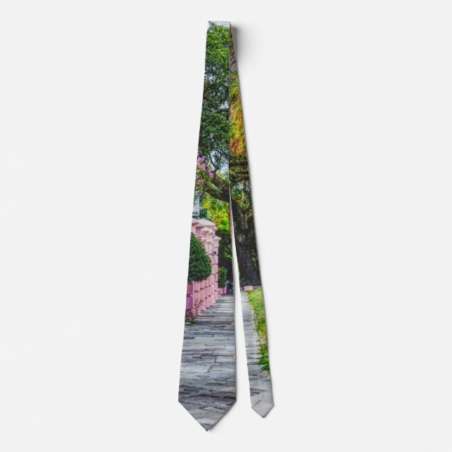 Walk Along Rainbow Row Neck Tie (Front)