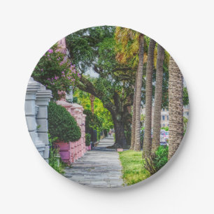 Walk Along Rainbow Row Paper Plates