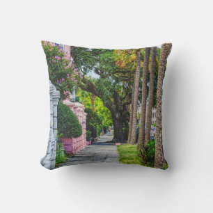 Walk Along Rainbow Row Throw Pillow