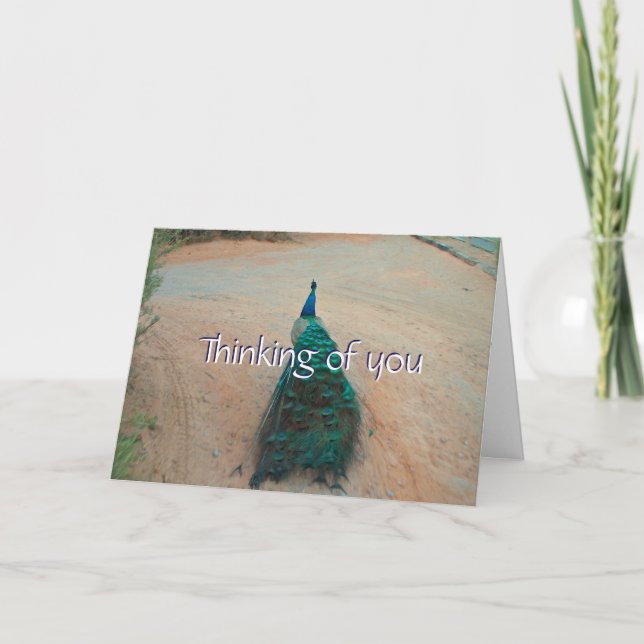 Walk Away Peacock - Thinking of You Card (Front)