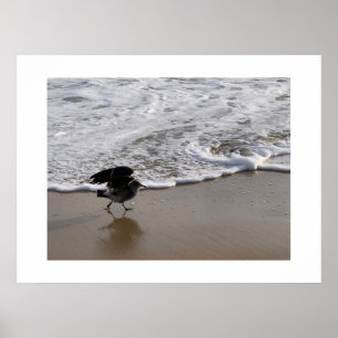 Walk by the Waves California Color Photography Poster