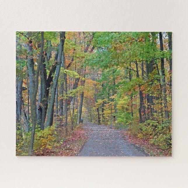 Walk in Autumn Woods Design Puzzle (Horizontal)