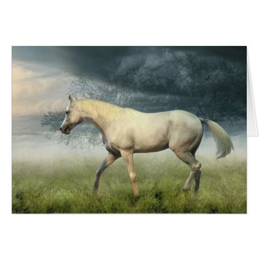 Walk In The Park Cards (Front Horizontal)