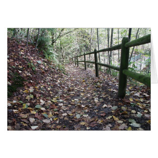 Walk in the Park Cards