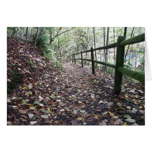Walk in the Park Cards (Front Horizontal)