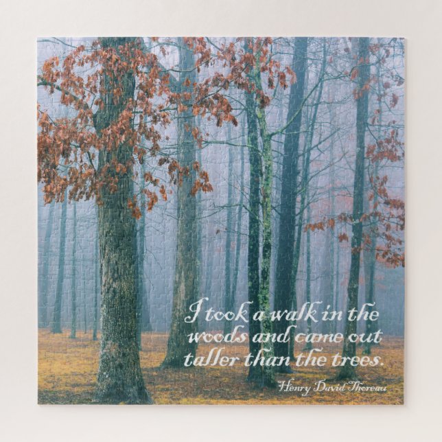 Walk in the Woods  -  20x20 - 676 pcs. Jigsaw Puzzle (Vertical)