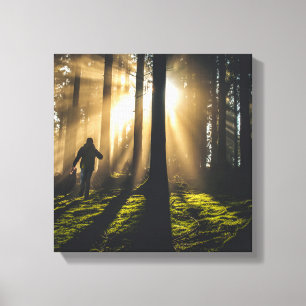 walk in the woods canvas print