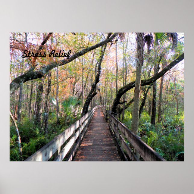 Walk in the Woods Poster (Front)