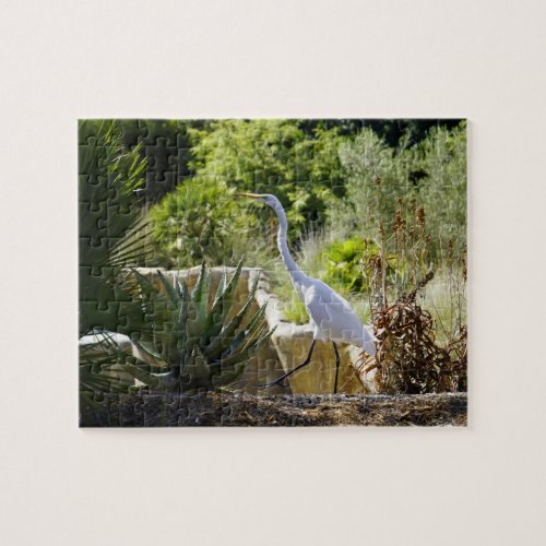 Walk on By Great Egret jigsaw puzzle