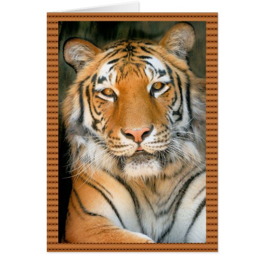Walk on the Wild Side - Tiger Cards (Front)