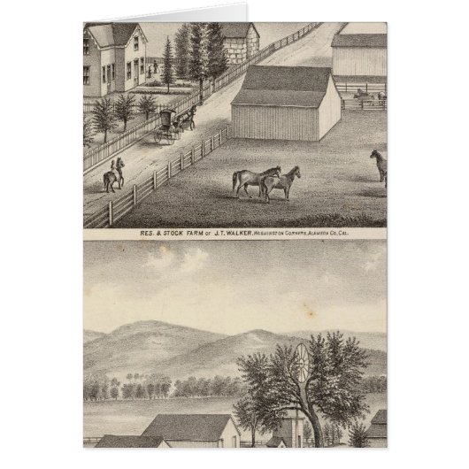 Walker, Knittel residences, farms Cards (Front)