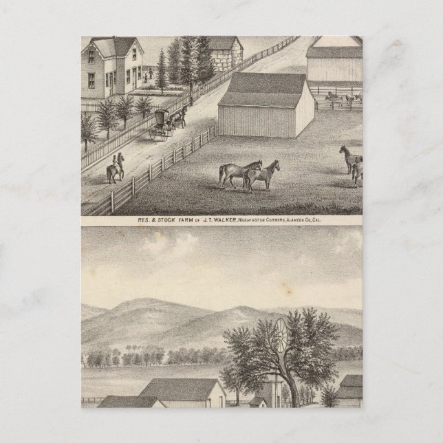 Walker, Knittel residences, farms Postcard (Front)