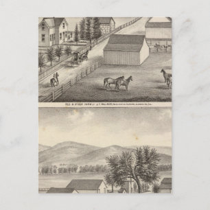 Walker, Knittel residences, farms Postcard